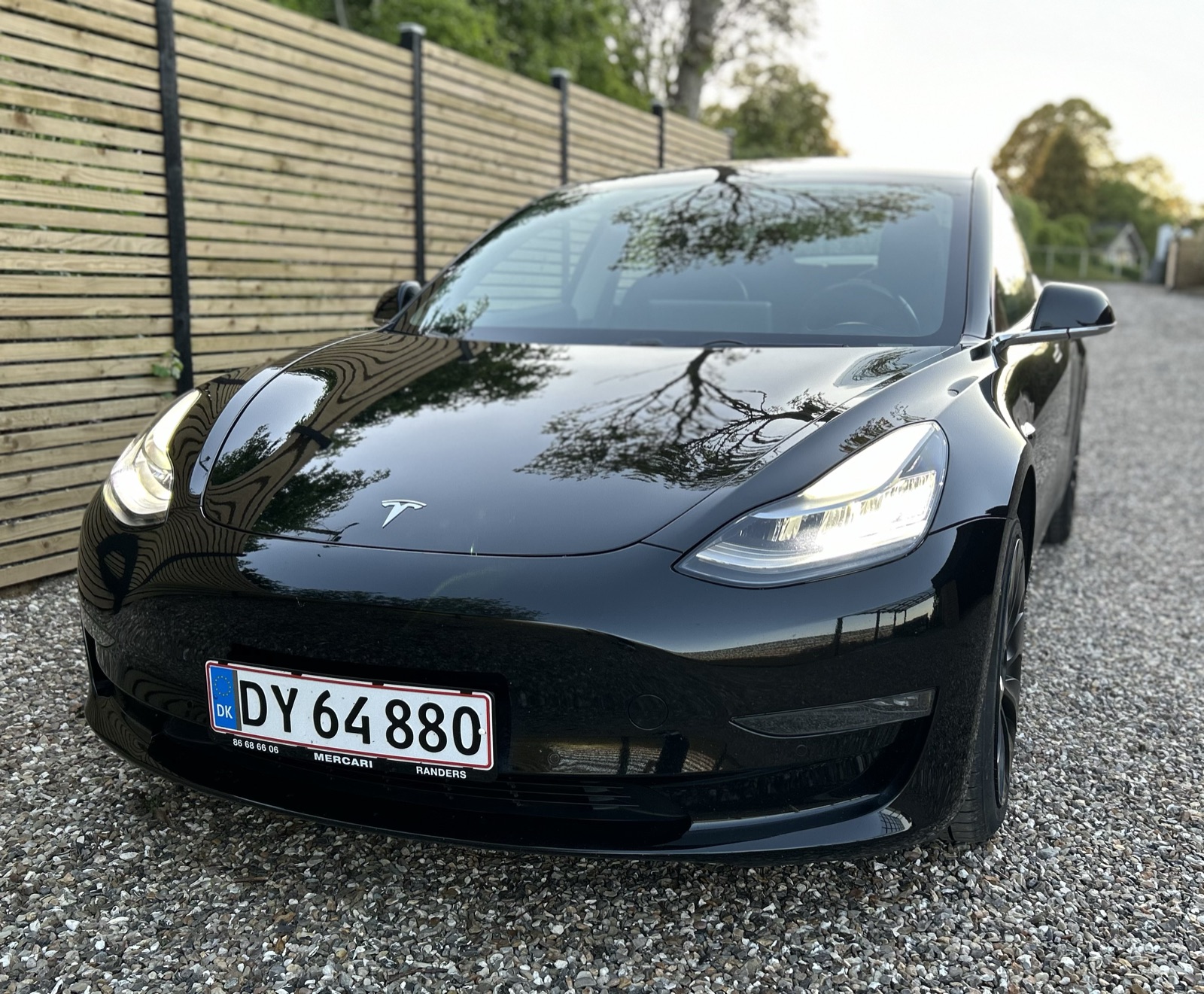 Sort Tesla Model 3 Dual Motor